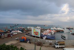 Đảo Lý Sơn2