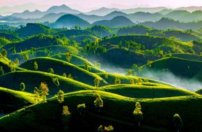 Trung du thức giấc