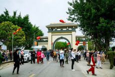 Chuyện cá gỗ