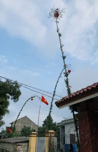 Cây nêu ngày Tết