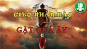 Gieo-Gặt