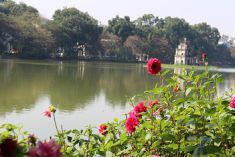 Hà nội 2017