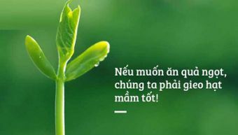 Luật nhân quả