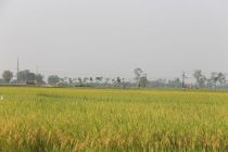 Mùa hạ