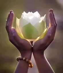 Đừng buông lời cay đắng