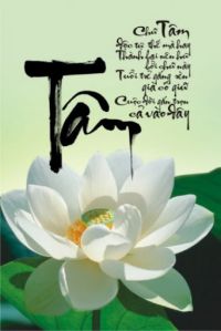 Tâm