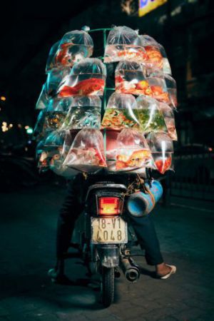 Xe bán cá cảnh rong