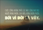 Đời là vậy