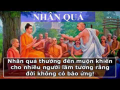 Nhân quả