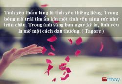 Tình yêu thầm lặng