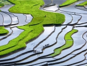 NHỮNG BỨC ẢNH ĐẸP MÊ HỒN