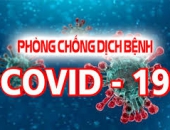 NHỮNG CÂU CHUYỆN VUI THỜI COVID-19 (3)
