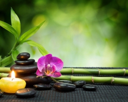 PHONG THỦY TỐT NHẤT ĐỜI NGƯỜI