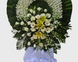 TIN BUỒN