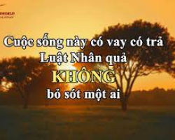 LUẬT NHÂN QUẢ 