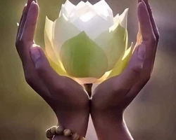 ĐỪNG BUÔNG LỜI CAY ĐẮNG