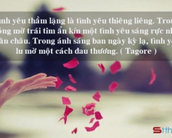 TÌNH YÊU THẦM LẶNG