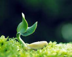 TÂM KHÔNG HẸP THÌ ĐỜI SẼ ĐẸP!