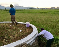 TẢO MỘ CUỐI NĂM