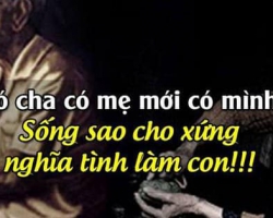 TRÁI TIM NGƯỜI CHA